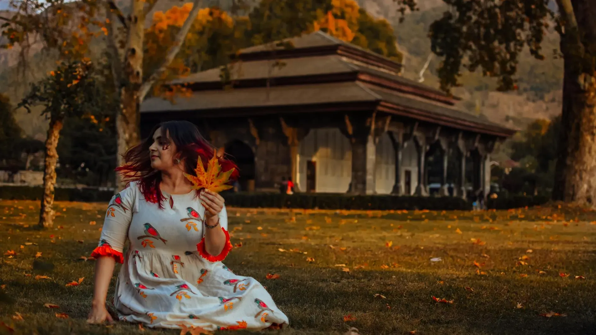 Scenic travel experiences in Kashmir