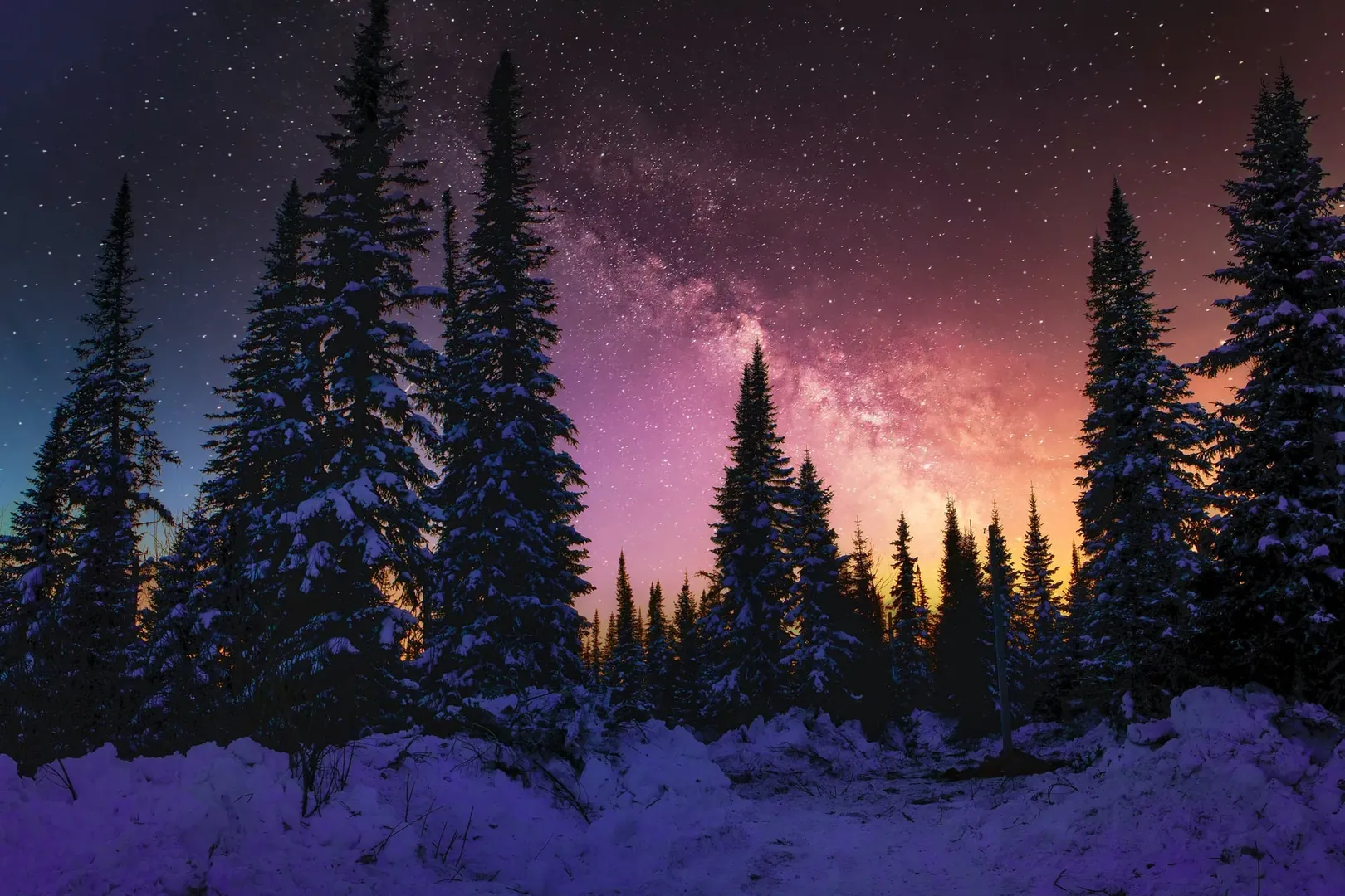 Majestic snowy mountains and pine trees in Gulmarg, Kashmir