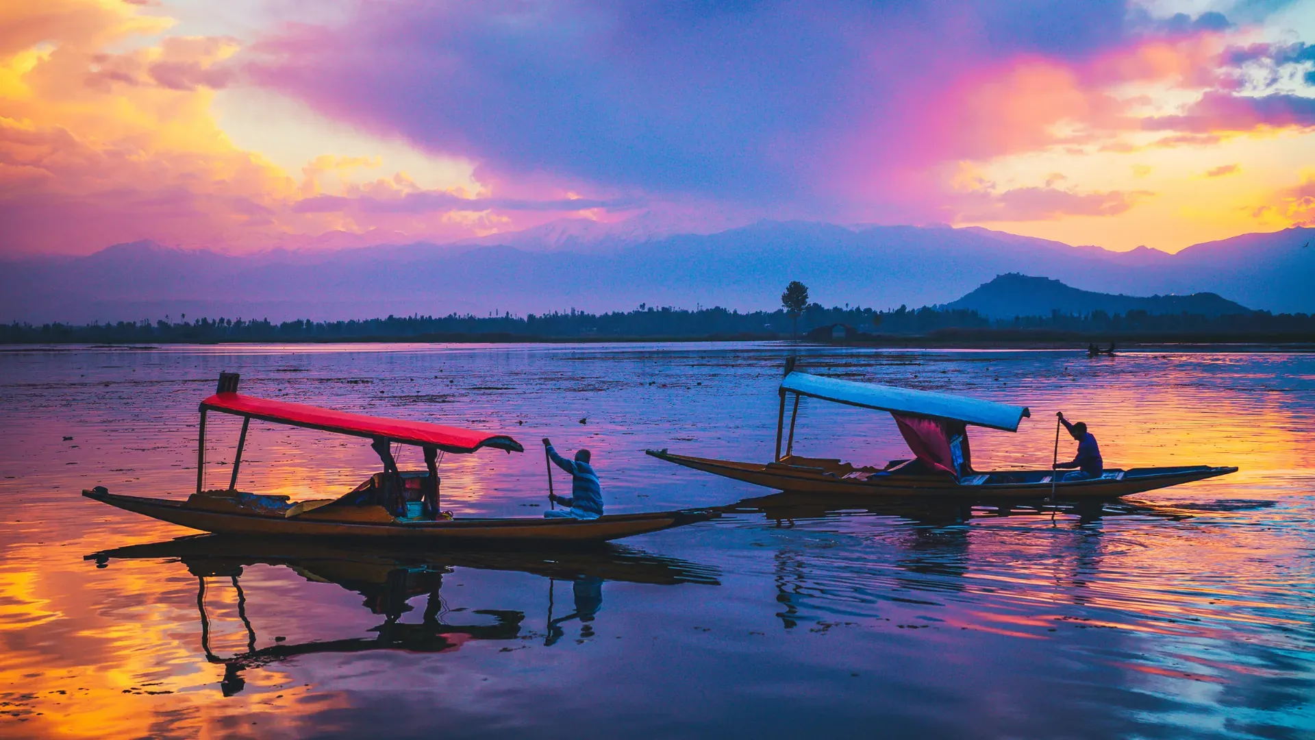 Scenic shikara ride on Dal Lake in Srinagar, Kashmir